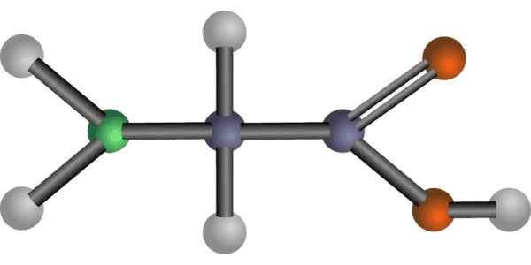 amino acid