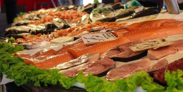 animal based protein
